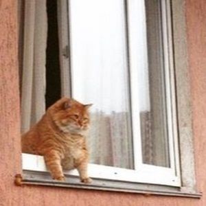 Meet your Posher, Martial